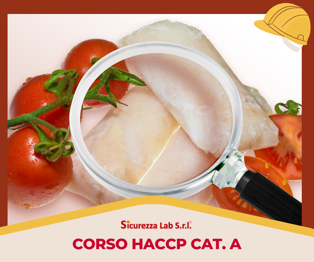 Corso HACCP cat. A 12 ore AULA