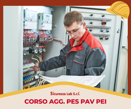 [AF_ELEARNING_BLENDED_028] Aggiornamento Corso PES-PAV-PEI 4 ore e-learning